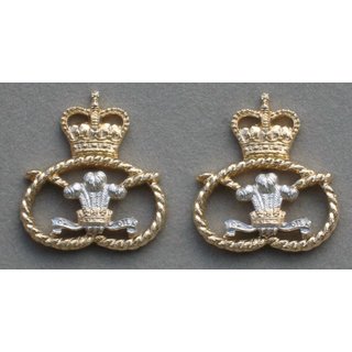 The Staffordshire Regiment Collar Badges