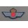Luftwaffenabzeichen, Spanien