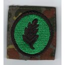 Special Insignia Leader of a seperate Group on blue, Air...