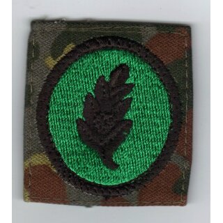 Führer einer auf sich gestellten Gruppe Sonderabzeichen auf Flecktarn