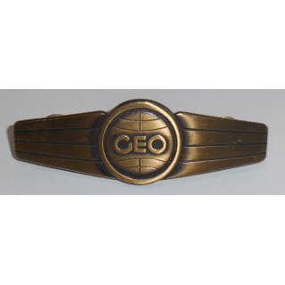 Geo-information Personnel Activity Badge Bronze on grey, Army, Bullion, original packed
