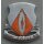 501st Signal Battalion DUI Silber, Emaille rissig