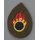 Ammunition Technician Abzeichen