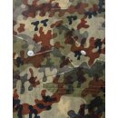 Deutschland, Tanmuster Bundesrepublik Amöbentarn,...