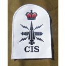 Electronic Warfare Ratings Badge White, 1 Crown, large,...