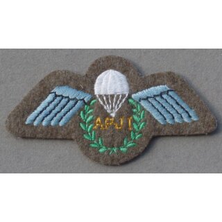 Assistant Parachute Jumping Instructor Abzeichen