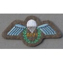 Assistant Parachute Jumping Instructor Abzeichen