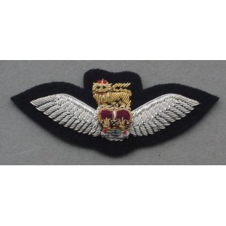 Glider Pilot / Air Operations Pilot 1st.Class