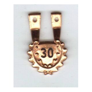 Number of Jumps Hanger for Parachute Badge 30 Jumps