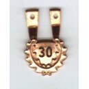 Number of Jumps Hanger for Parachute Badge 30 Jumps