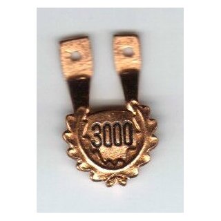 Number of Jumps Hanger for Parachute Badge 3000 Jumps