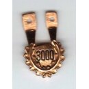 Number of Jumps Hanger for Parachute Badge 3000 Jumps