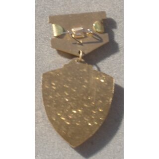 Abzeichen f&uuml;r gefechtsm&auml;&szlig;iges Minenr&auml;umen Original