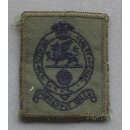 Princess of Waless Royal Regiment Other Ranks,...