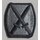 10th Mountain Division