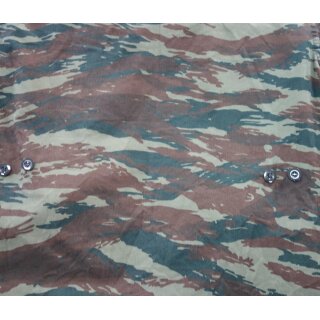 Greek Camouflage Lizard Variation