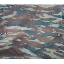 Greek Camouflage Lizard Variation