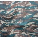 Greek Camouflage Lizard Variation