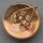 Gold Cap Cocade Iron, Brass plated with Split Pin, magnetic