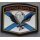 810th Naval Infantry Brigade of the Black Sea Fleet rubberised, Cheetah, Headquarters Battalion, orange