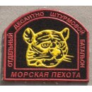 Special Airborne Assault Battalion of the Naval Infantry...