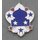 5th Army  DUI