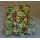 Cover, Body Armour, IS, Woodland DPM, Type2 Z-3, 180/104