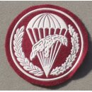 Branch Insignia 10 Bdsz - Air Assault Bataillon -  Batalionu Desantowo Szturmowego, green
