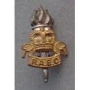 Collar Badges