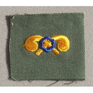 Branch of Service Insignia, Chemical Corps