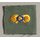 Branch of Service Insignia, Chemical Corps