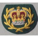 Devon & Dorset, RRW, G.Howards  Sleeve Rank Insignia...