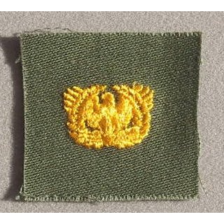 Branch of Service Insignia, Warrant Officer