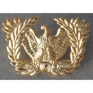 Branch of Service Insignia, Warrant Officer