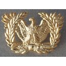 Branch of Service Insignia, Warrant Officer