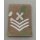 Rankslide, RAF, MTP embroidered Chief Technician, new, NSN 8455-99-281-4203