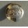 4th Royal Anglian Regiment Buttons All Anodized, QEC, 24L - 15mm