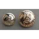 The Royal Scots Dragoon Guards Buttons Anodised/ Brass, QEC, 40L - 25mm, used