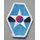 Combined Field Forces USA - Republic of Korea