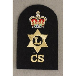 Logistcs Personnel Ratings Badge Blue, 1 Crown 1 Star, small