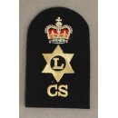 Logistcs Personnel Ratings Badge Blue, 1 Crown 1 Star, small