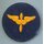AAF Aviation Cadet