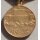 Medal, Defender of Free Russia