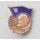 Good Knowledge Badge, 4. Type, bronze 27e, Iron