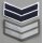 Doppelwinkel für Berufsunteroffiziere auf grau, Armee, Luftwaffe, GT, MfS