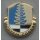 319th Military Intelligence Batallion  DUI