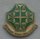 502nd Military Police Battalion  DUI