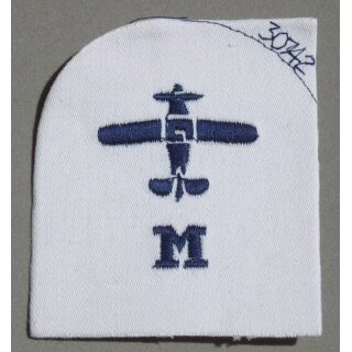 FAA Air Mechanic Ratings Badge Tropical, Basic, small