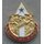 29th Support Group  DUI