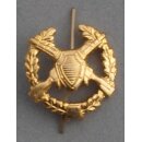 Border Guards Branch Insignia